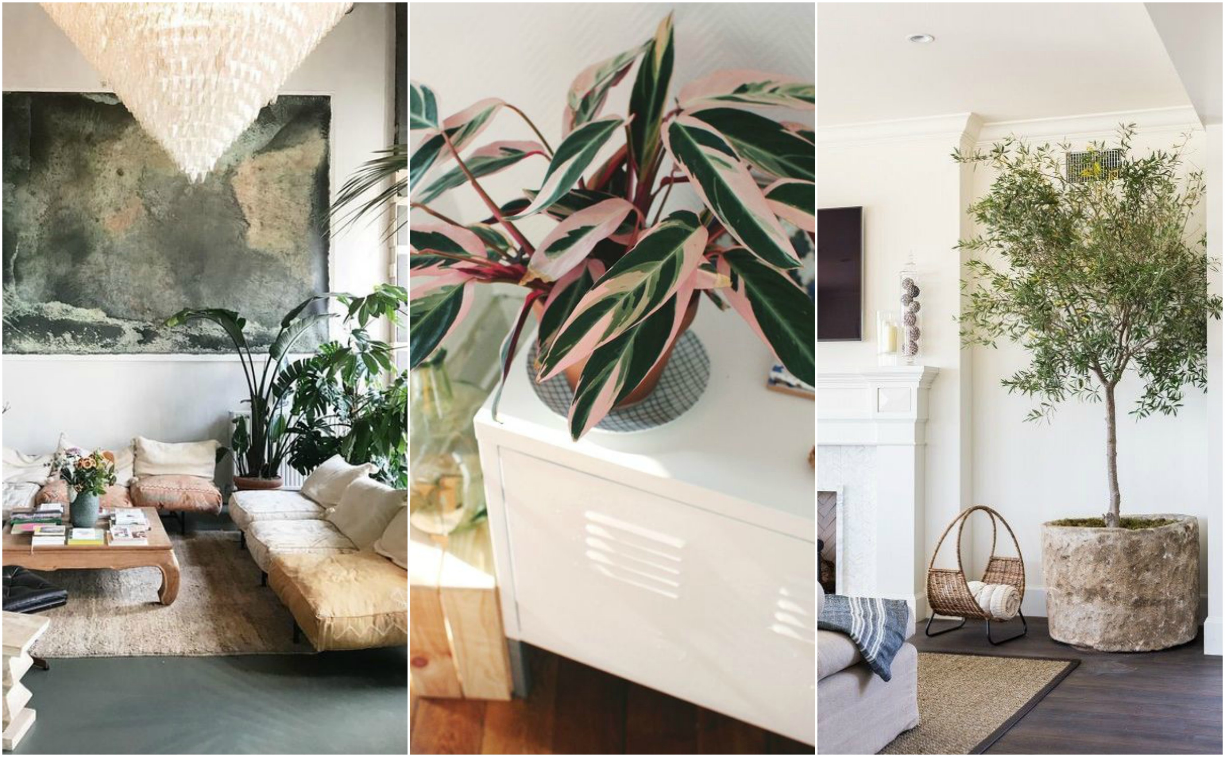 Current Obsessions! - Terrazzo & Marble Supply